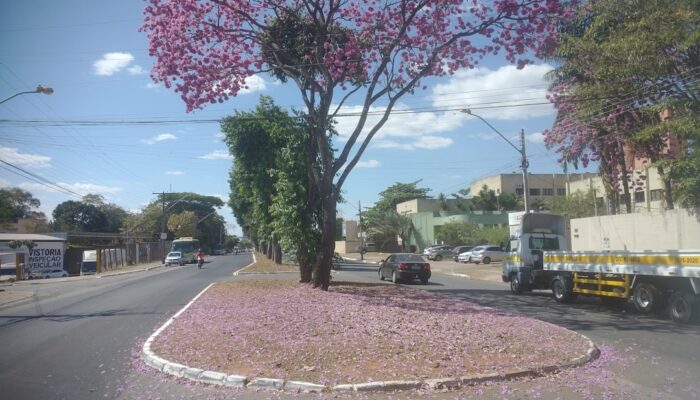 Como encontrar clínicas populares em Goiânia com segurança e qualidade